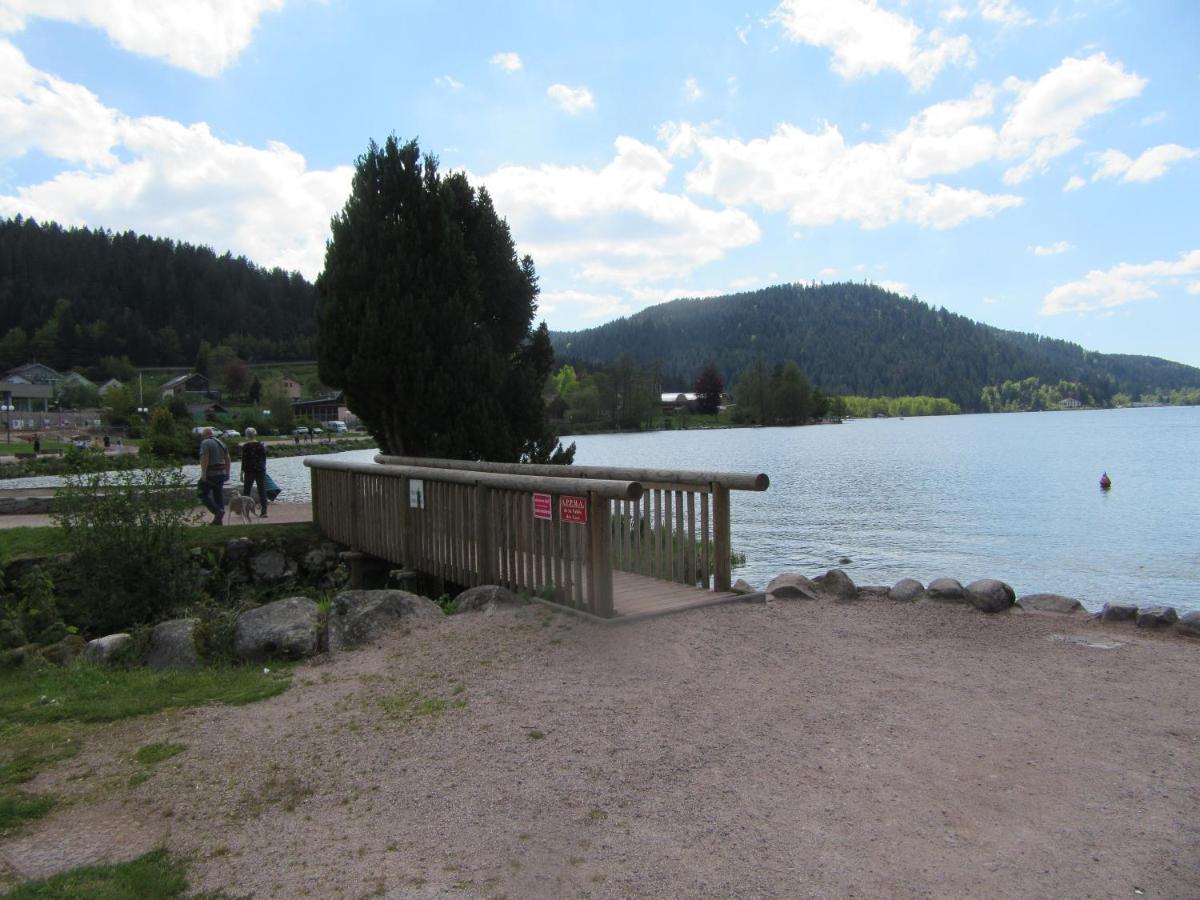 Appartement Les Balcons De La Chalande Le Tholy Gerardmer, Jardin,Balcon, Terrasse, Exterior foto